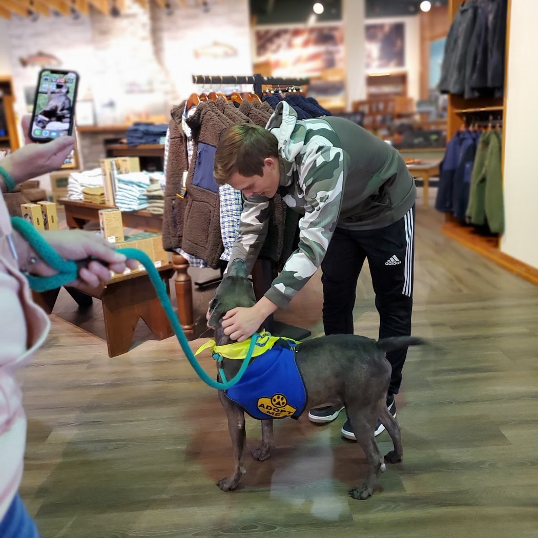 Beginner Fly Fishing Workshop 3